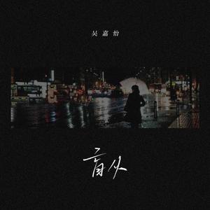 成年动漫在播放网站章节
