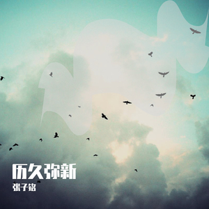 成年动漫在播放网站章节
